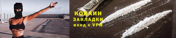 тгк Алзамай