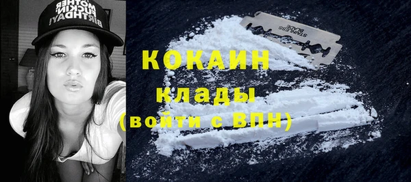 тгк Алзамай