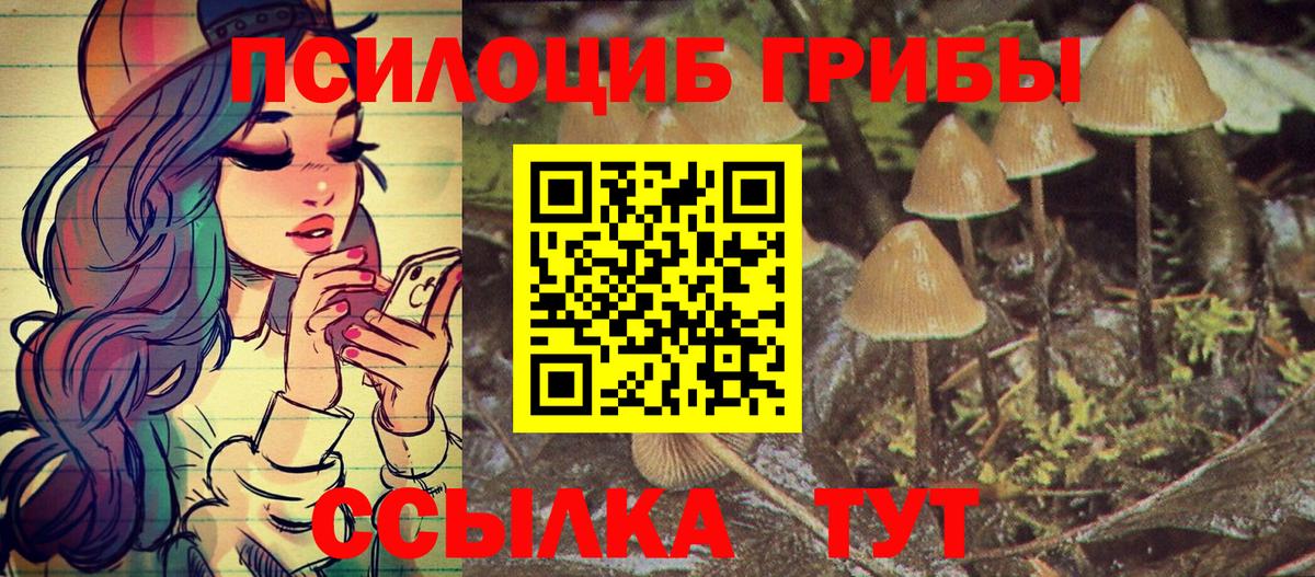 Белгород  Галлюциногенные грибы GOLDEN TEACHER  Вход с VPN 