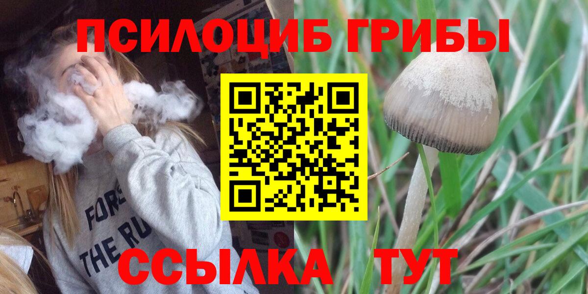 Псилоцибиновые грибы MAGIC MUSHROOMS Белгород